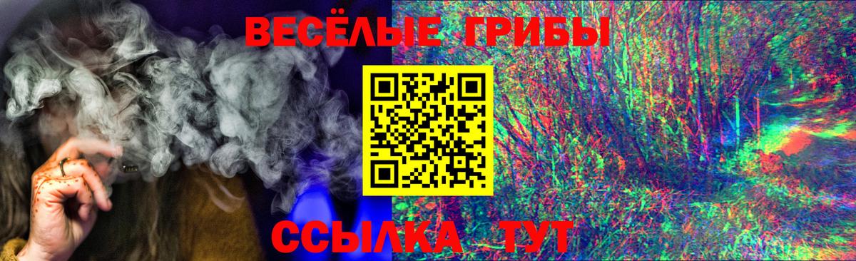 Галлюциногенные грибы Magic Shrooms Новошахтинск